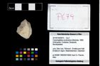 Foto (Objekt + Etikett) von Cracensigillatus acutirostrus (Moericke, 1889)  (NHMW-GEO-2014-0194-0679)